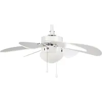 Orbegozo Plafond Avec Ventilateur De Lumière