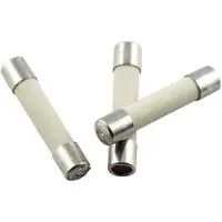Eska 528.27 52827 Fusible fin (Ø x L) 5 mm x 25 mm 10 A 250 V à action retardée -mT- (10 A)