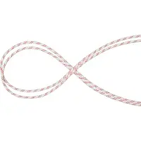 Mammut 10.0 Performance Static Rope Rouge 100 m