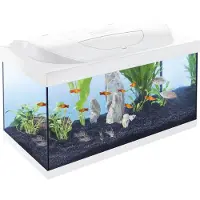 Tetra aquarium Starter Line wit 54 liter 61 x 35 x 31 cm (LED)