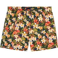 Hom Shorts de bain ' Beach Boxer Etna ' beige / vert / orange