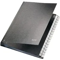 Leitz Index Organizer 1-31 Document Holder Clair Enfants