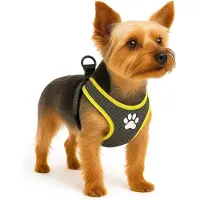 Flamingo Harnais Pour Chien Step&go Tasha