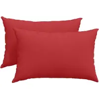 vidaXL Coussins de canapé 2 pcs Rouge 60 x 40 cm tissu