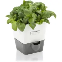 Cole and mason Pot d'Herbes Cole & Mason Met Réservoir d'eau