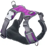 Red Dingo Harnais Pour Chien Padded