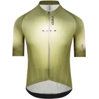 Q36.5 Gregarius Clima Q Lab Short Sleeve Jersey Vert L Homme