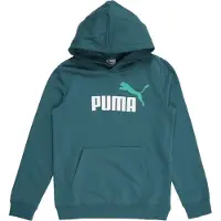 Puma Sweat à Capuche Ess 2 Color Nº1 Logo