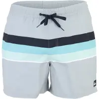 Quiksilver Shorts de bain 'EVERYDAY VOLLEY' bleu clair / gris clair / vert clair / noir