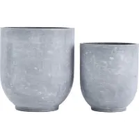 House Doctor Plantes | Gard | Gris | 208820100