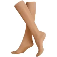 Kunert Chaussettes montantes 'Fly&Care 40' sépia