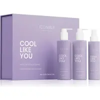 ICONIQUE Professional COOL LIKE YOU Perfect Blonde & Silver Violet Set ensemble anti-jaunissement