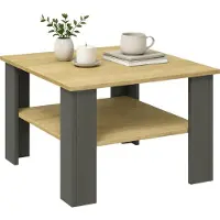VCM Table d'appoint en bois / table basse simple / Dimensions env. H. 44 x W. 55 x D. 55 cm / table de séjour carrée / canapé - Disalo