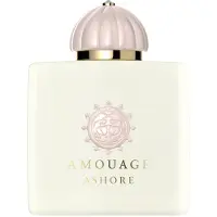 Amouage Ashore Eau de Parfum mixte 100 ml