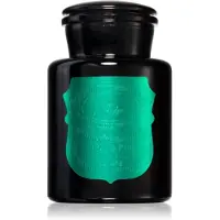 PADDYWAX Apothecary Noir Tabac & Pine bougie parfumée 226 g