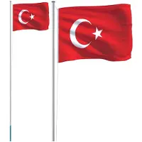 vidaXL Drapeau de la Turquie et mât 6,23 m Aluminium