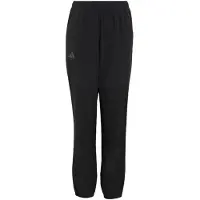 Adidas Pantalon d'extérieur 'Clima365' gris / noir