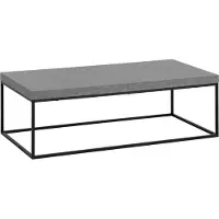 Wohnling Table basse 120x60x38 cm Gris Table de salon aspect béton Design moderne Table de salon rectangulaire Table de salon Grande table basse pieds métal