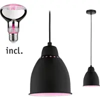 Paulmann Lampe à suspendre Bundle Neordic Hilla