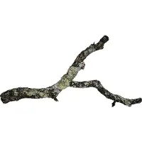 HOBBY Terraristik Artichauts Hobby Cork L, 75 - 100 cm