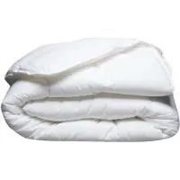 Blanreve Couette légère et anti-acariens - 200 g/m², 200 x 200 cm - Blanc