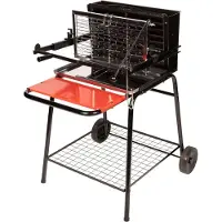 Somagic Barbecue au charbon de bois avec foyer vertical RAYMOND