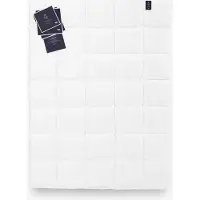 AMZ Couette en duvet d'oie 100% 135x200 QUEEN 430g exclusif