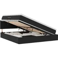 vidaXL Lit de rangement avec matelas noir 160 x 200 cm velours