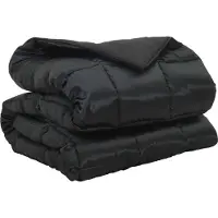 vidaXL Couette d'hiver noire 220 x 155 cm satin et microfibre