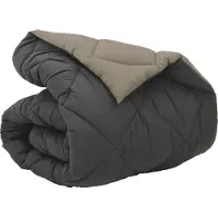 vidaXL Couette d'hiver gris clair et anthracite 220 x 155 cm microfibre