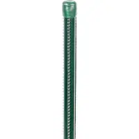 Alberts 854294 tige universelle, surface striée, vert enrobage plastique, longueur 800 mm, Ø de poteau 9 mm, set de 25 pièces
