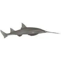 Papo Figurine de jeu Poisson-scie
