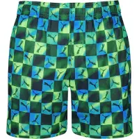Puma Short De Bain 701237078