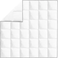 vidaXL Couette d'hiver en duvet 200x200 cm
