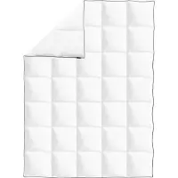 vidaXL Couette d'hiver en duvet 150x200 cm