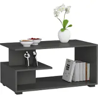 Akord Table Basse Élégant en Gris Graphite avec Rangement et Étagères