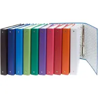 Exacompta Ringbuch (A4, 1 pcs)