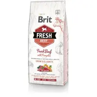 Brit Fresh beef with pumpkin puppy large - Boeuf &amp; citrouille pour chiots de grandes races - 2 x 12 kg