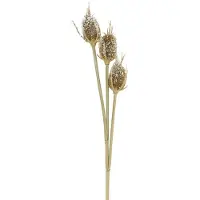 Viana Branche de chardon Fleur artificielle Givrée Marron 90cm Deko Chardon Cardinal 3 têtes