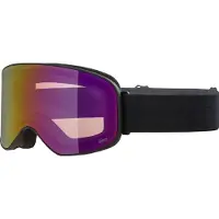 Alpina Masque de ski
