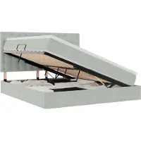 vidaXL Lit de rangement avec matelas gris clair 160 x 200 cm velours