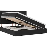vidaXL Lit de rangement avec matelas noir 160 x 200 cm velours