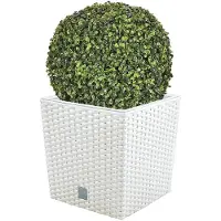 Wellhome Rato 32l Flowerpot 2 Units Vert