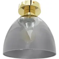 Toolight Plafonnier APP1302-1C Gold