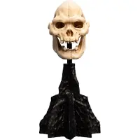 Weta Workshop Figure Lord Of The Rings Mini Skull Of Lurtz 14 Cm