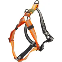 Afp harnais Off Street mandarine, taille : XL / largeur : 2,5 cm