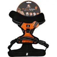 Spotted! Pro Spotted Harnais pour chien Pro No Pull Haness orange, taille : S