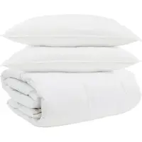 vidaXL Ensemble couette et oreiller 3 pcs Blanc Plume de duvet