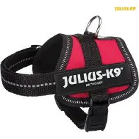 Julius-K9 Powergeschirr Baby harnais pour chien rouge XS-S, Dimensions:26 - 36cm