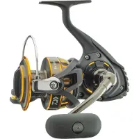 Daiwa Moulinet de pêche stationnaire BG 2500